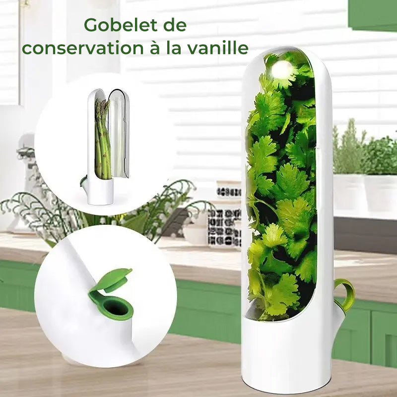Économiseur d'herbes fraîches