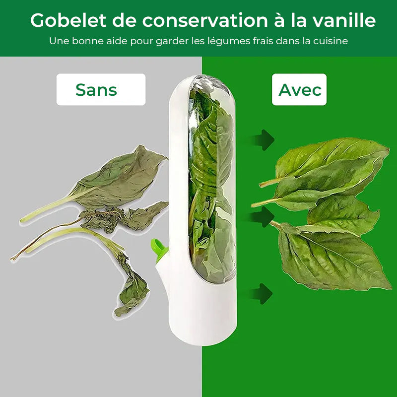 Économiseur d'herbes fraîches
