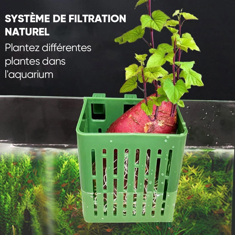 Panier de plantation hydroponique pour aquarium