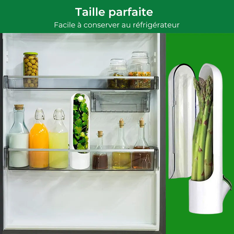 Économiseur d'herbes fraîches