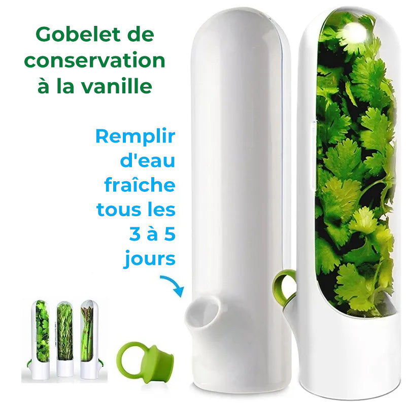 Économiseur d'herbes fraîches