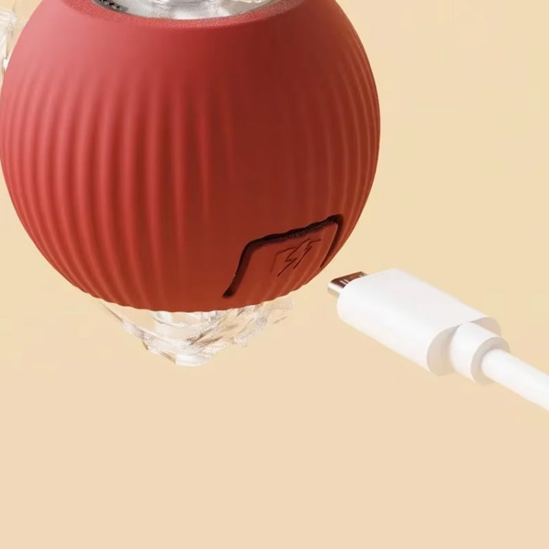 Balle interactive pour chat