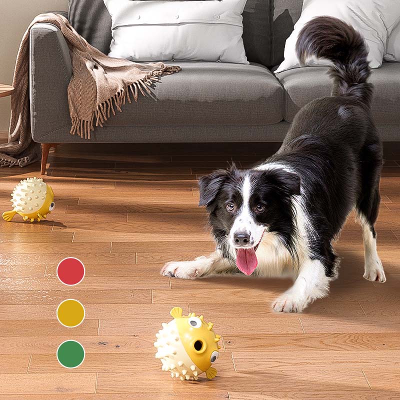 Jouet à mâcher en forme de poisson clown pour chien