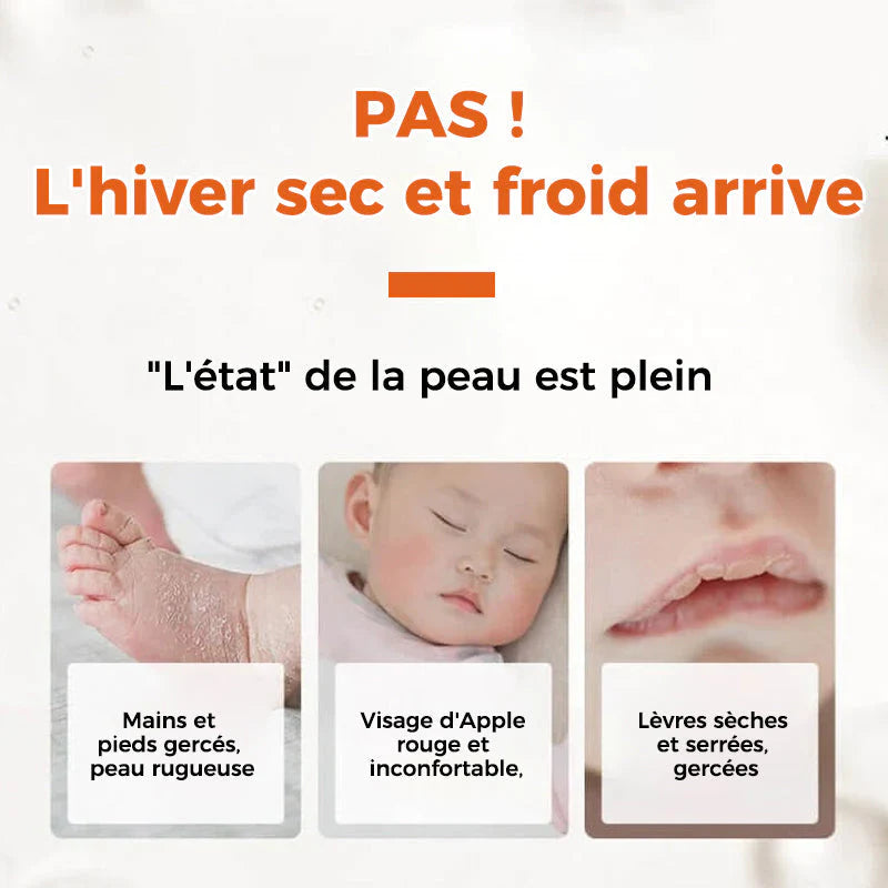 Ponceuse à Pied en Acier Inoxydable