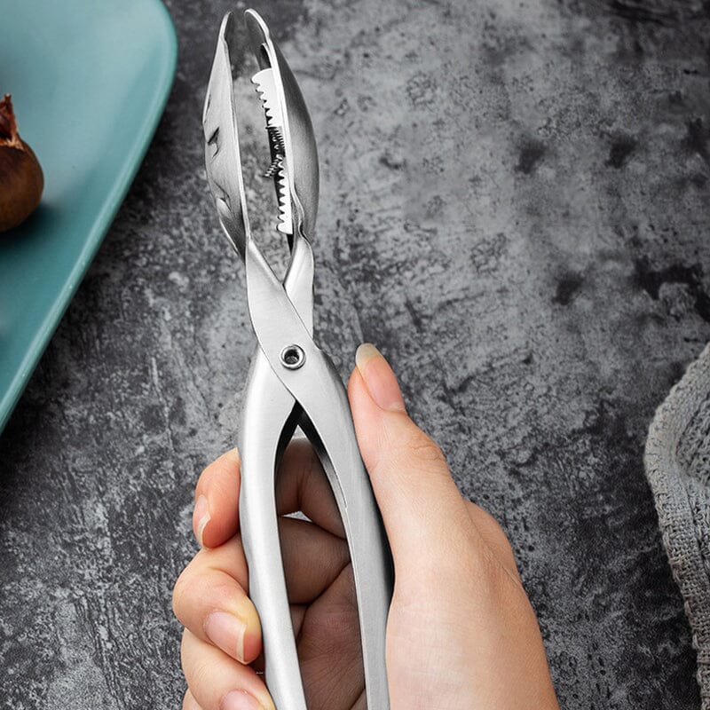 Ouvre-coquille de châtaigne en acier inoxydable