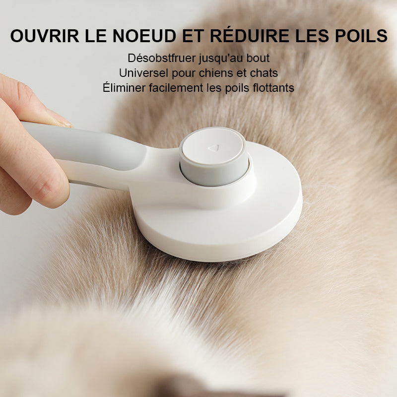 Brosse automatique pour animaux de compagnie