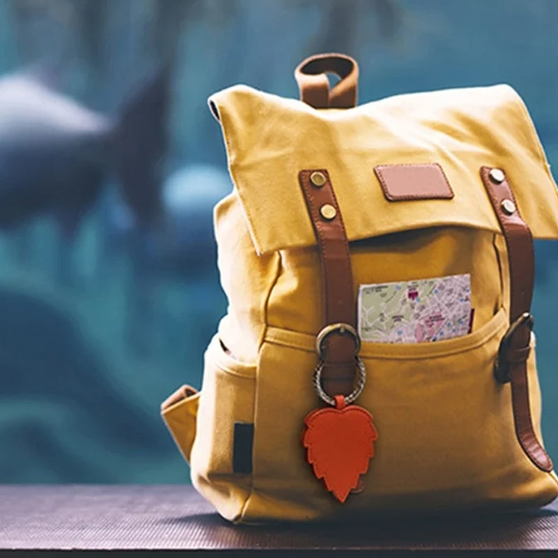 👒Chapeau Aimant Clip