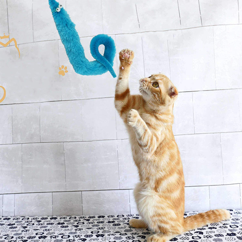 Jouets de vers flous et tordus