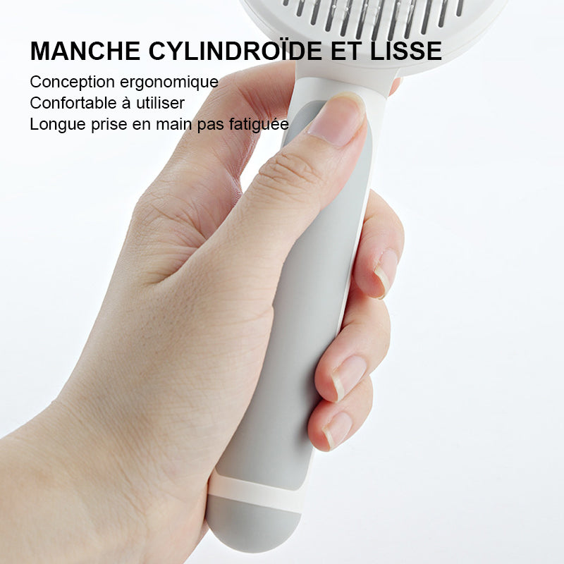 Brosse automatique pour animaux de compagnie