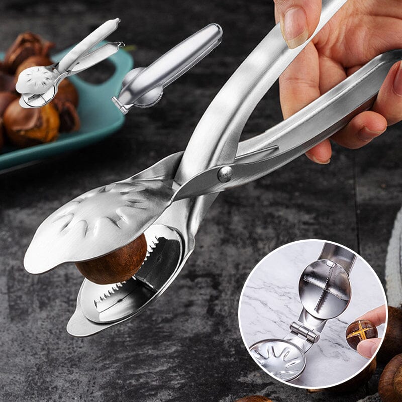 Ouvre-coquille de châtaigne en acier inoxydable