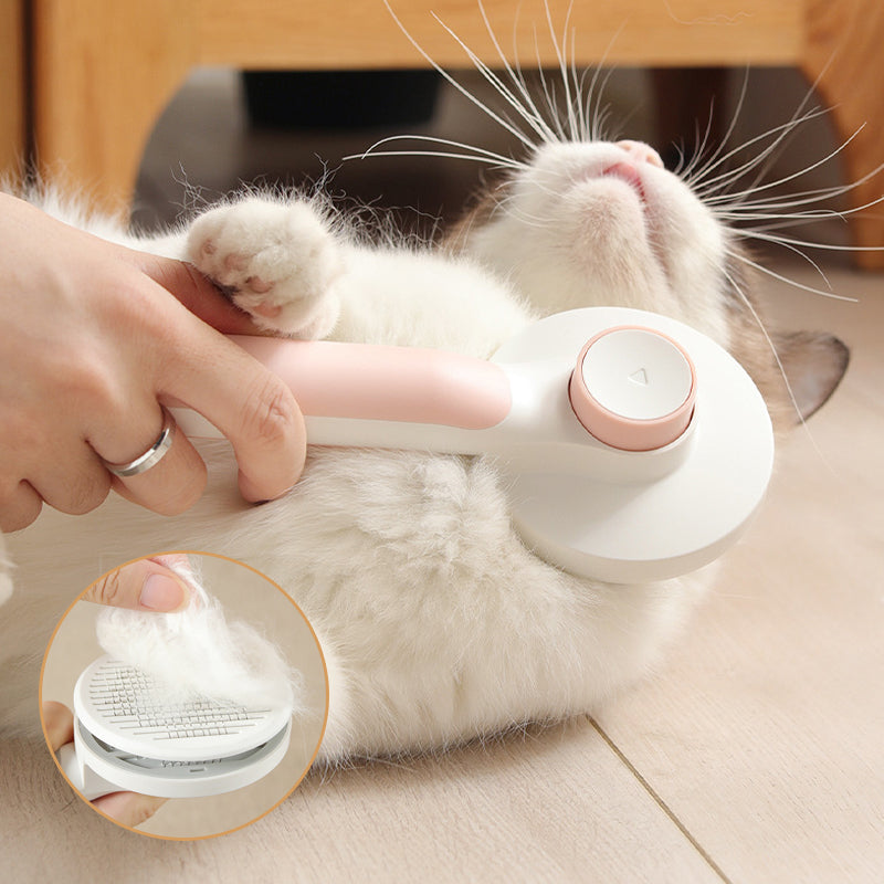 Brosse automatique pour animaux de compagnie