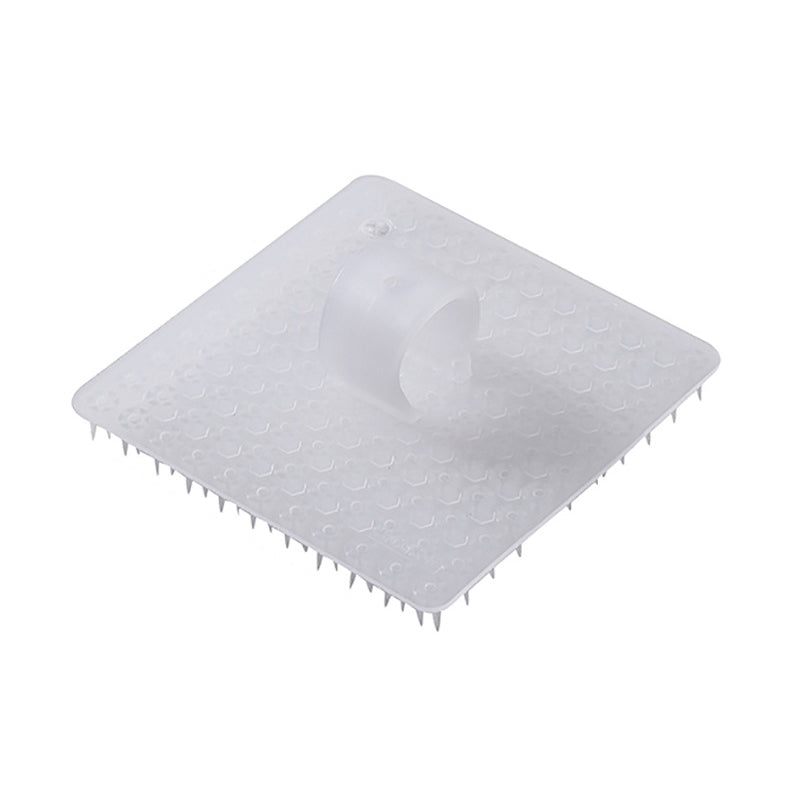 Brosse de nettoyage pour fruits et légumes