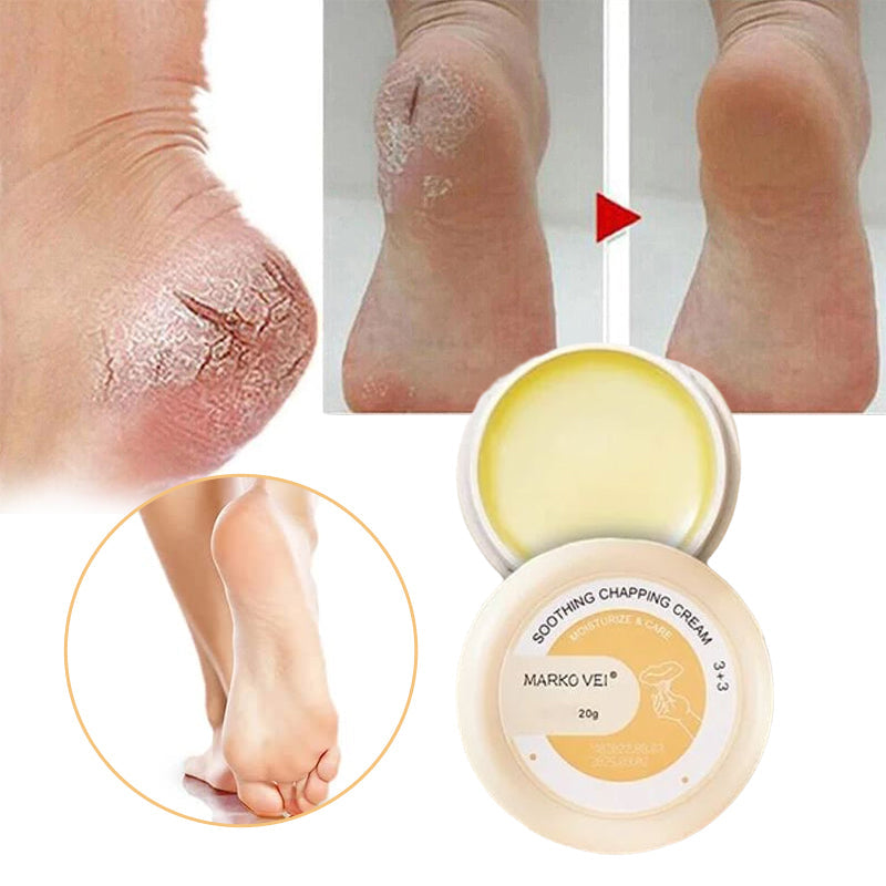 Ponceuse à Pied en Acier Inoxydable