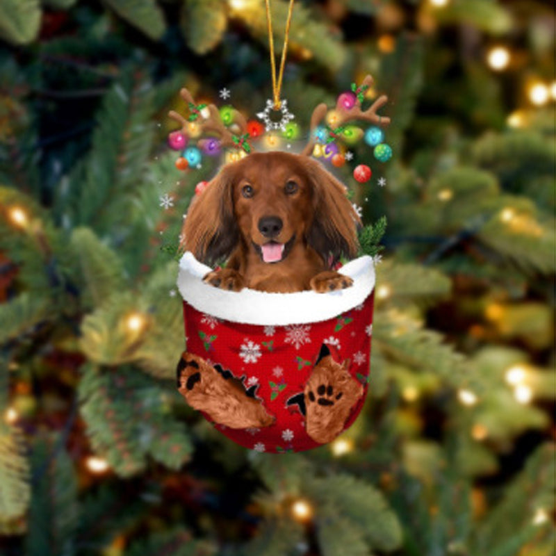 Ornement de Chien Mignon en Forme de Chaussette de Noël