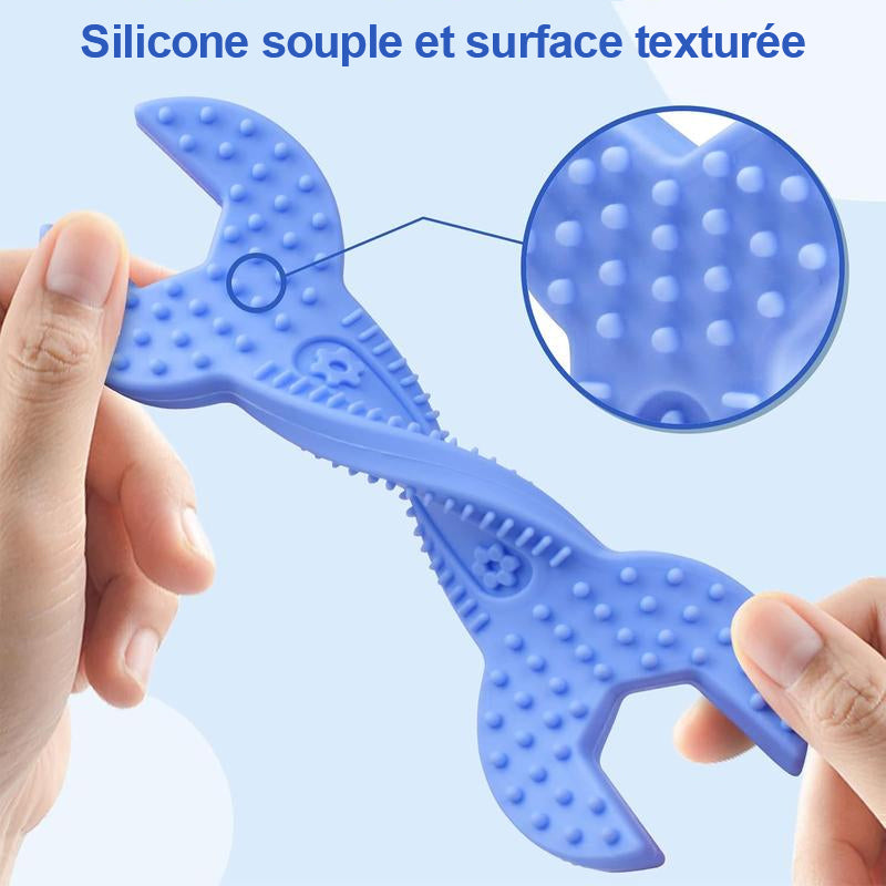 Jouet de dentition pour bébé (5 pièces)