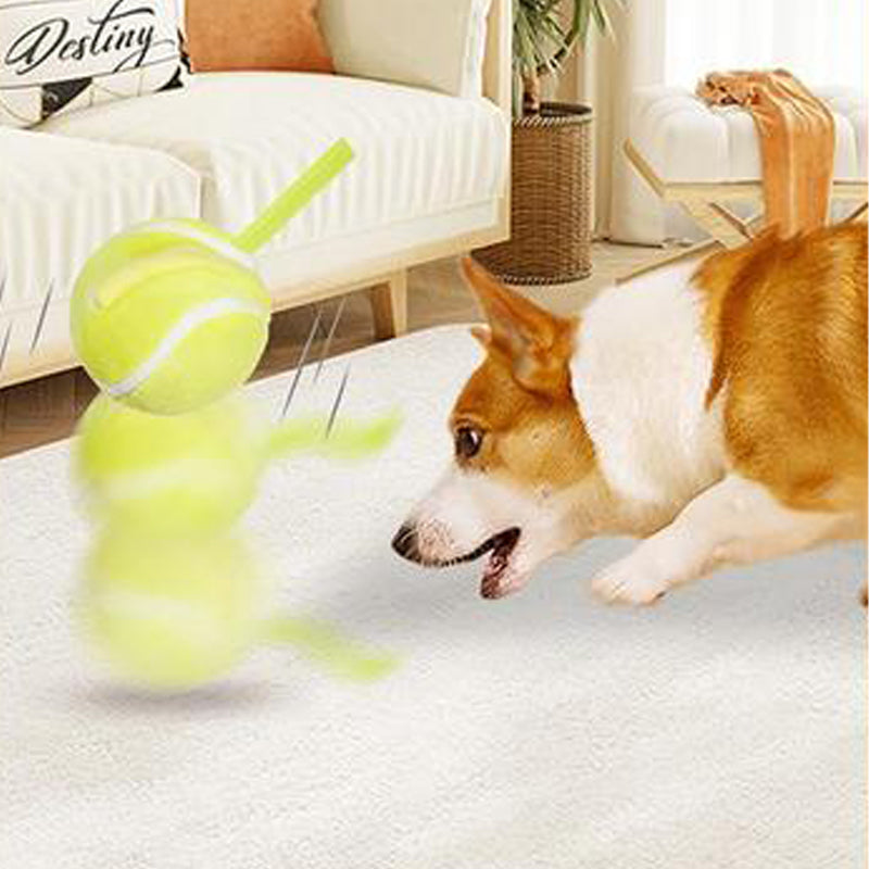 Balle interactive pour chiens