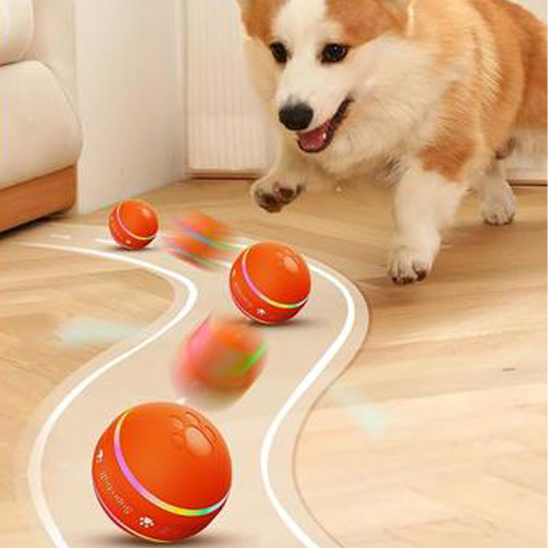 Balle interactive pour chiens