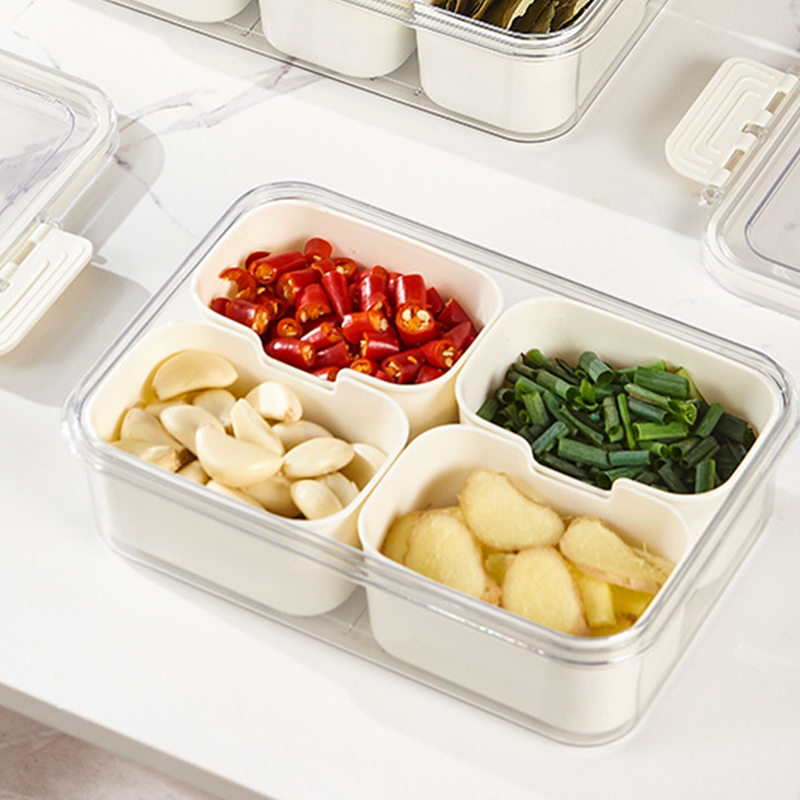 Boîte de conservation transparente pour aliments à plusieurs compartiments avec couvercle et poignée