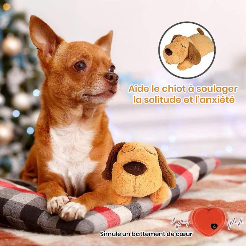 Jouet d'accompagnement anti-stress pour chien avec simulation de battement de cœur
