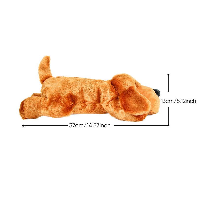 Jouet d'accompagnement anti-stress pour chien avec simulation de battement de cœur