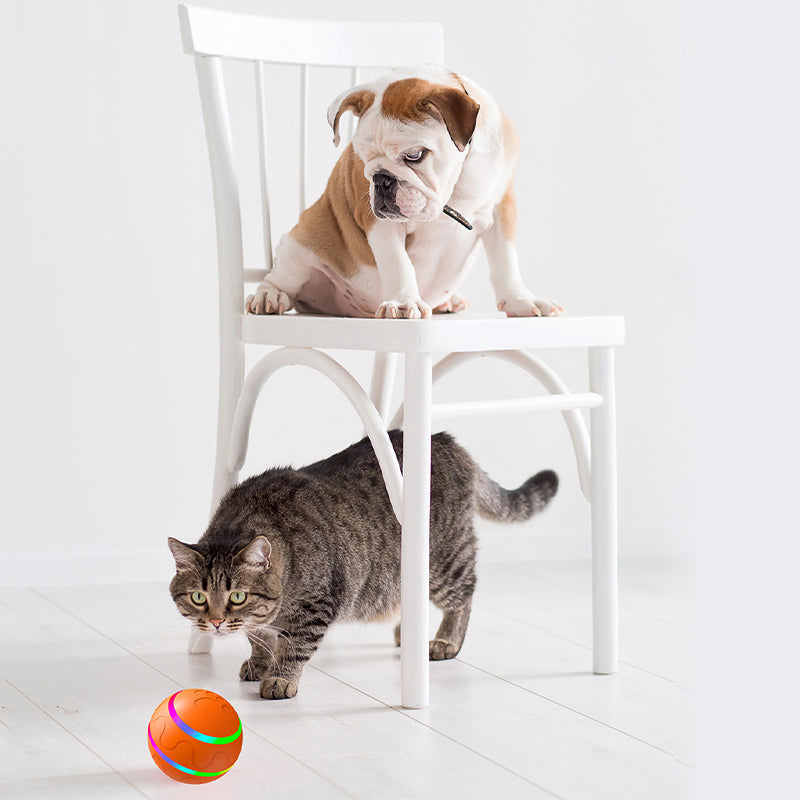 Balle interactive pour chiens