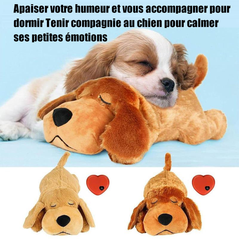 Jouet d'accompagnement anti-stress pour chien avec simulation de battement de cœur