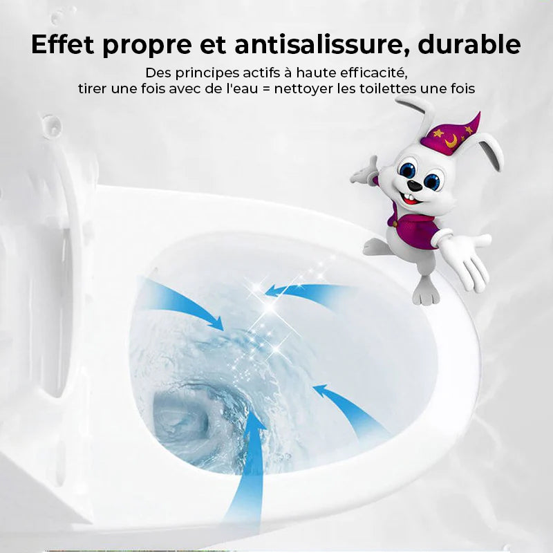 NETTOYANT POUR TOILETTES