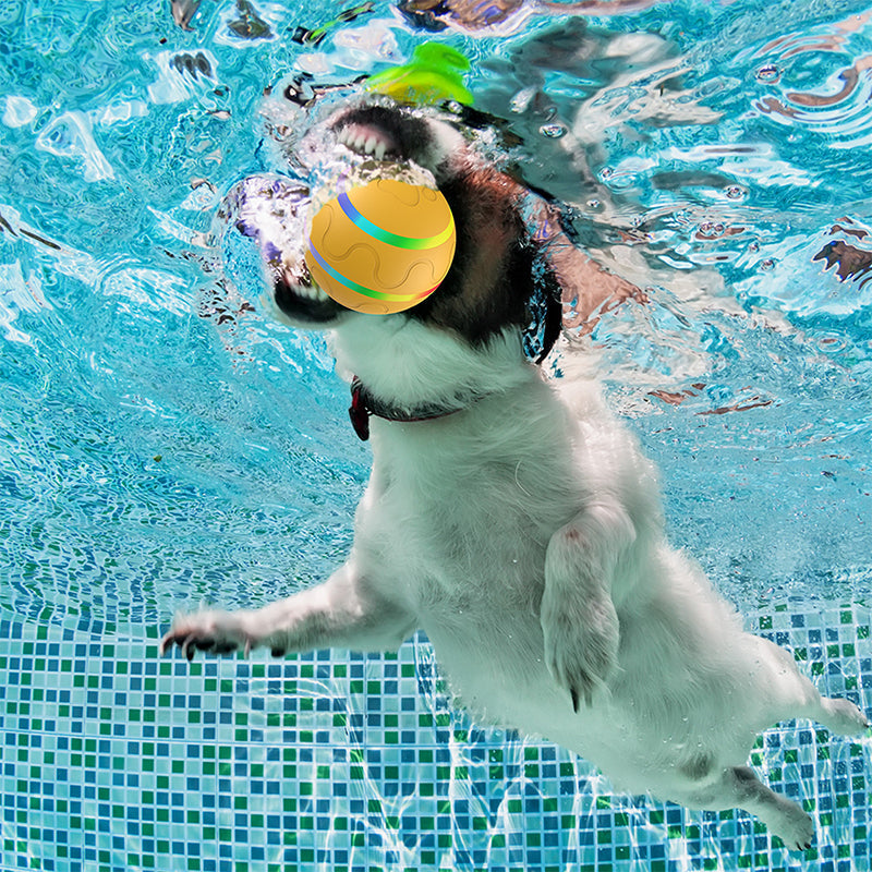 Balle interactive pour chiens