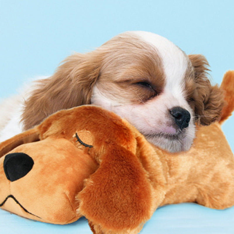 Jouet d'accompagnement anti-stress pour chien avec simulation de battement de cœur