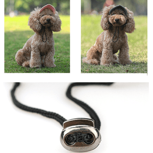 Casquette de baseball pour chien et chat, sortie en plein air