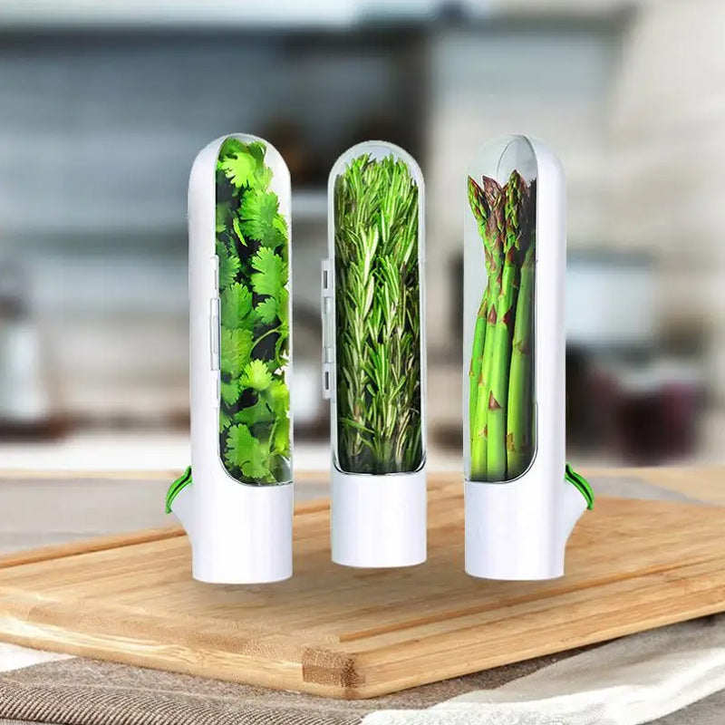 Économiseur d'herbes fraîches