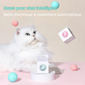 Jouets de balle interactifs Smart Cat