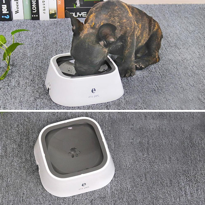 Bol Zéro Splash pour animaux de compagnie