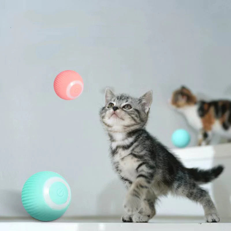 Jouets de balle interactifs Smart Cat