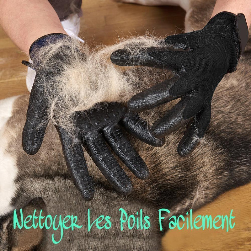 Gants De Toilettage Pour Animaux De Compagnie - ciaovie