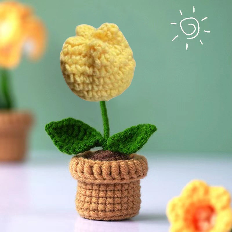 Fleurs en pot au crochet tricotées à la main