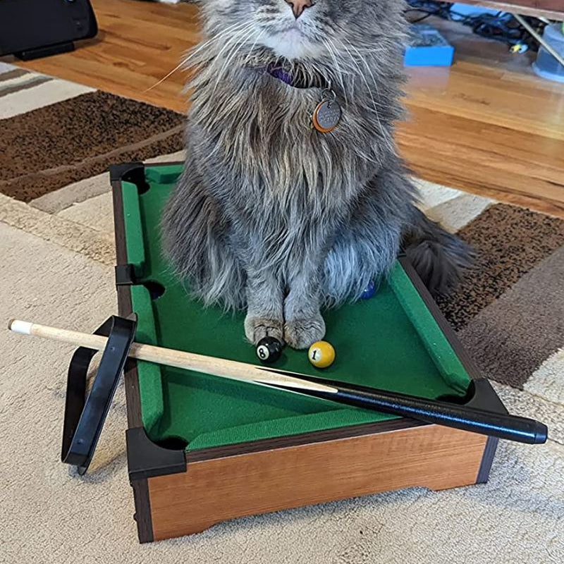 Mini Table de Billard Jouet pour Chat