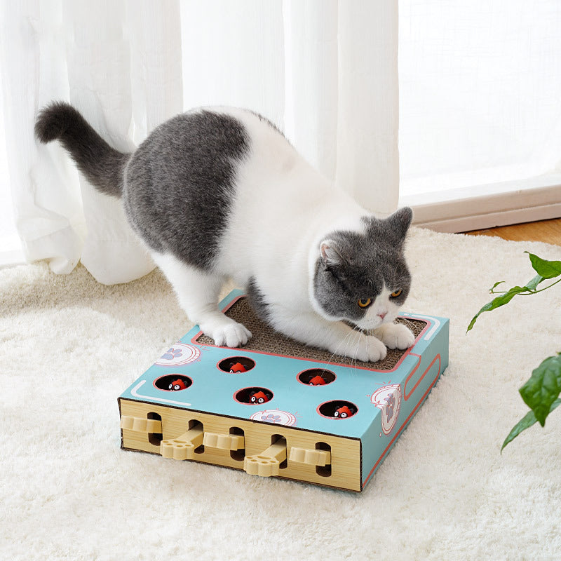 Chat Jouet Interactif