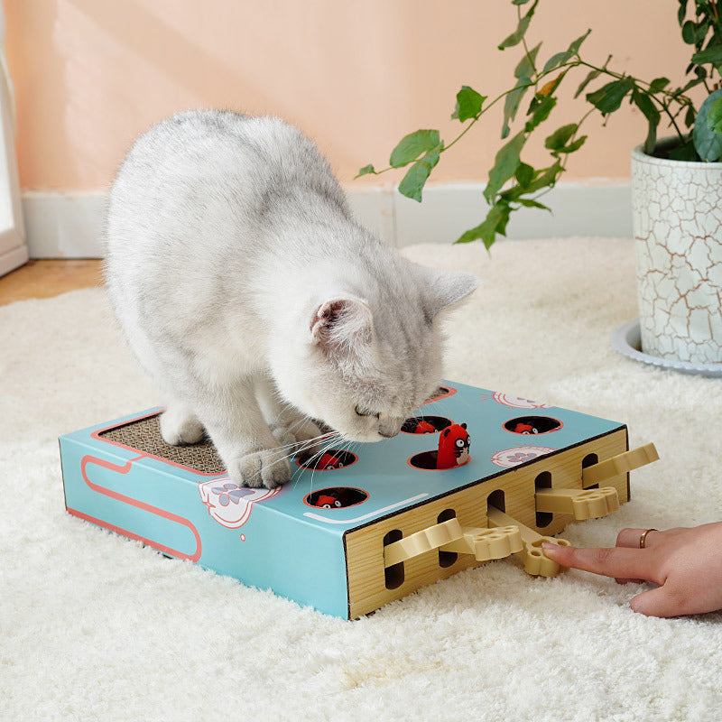 Chat Jouet Interactif