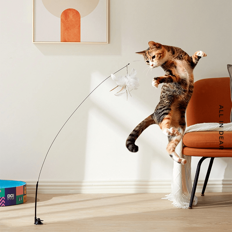 Chaton Jouant Teaser Baguette Jouet