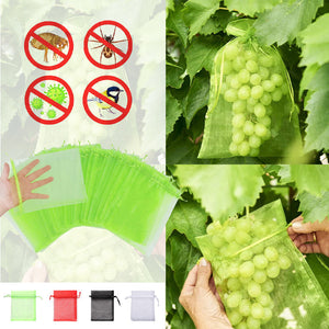 Sac de protection pour fruits (100 pièces)