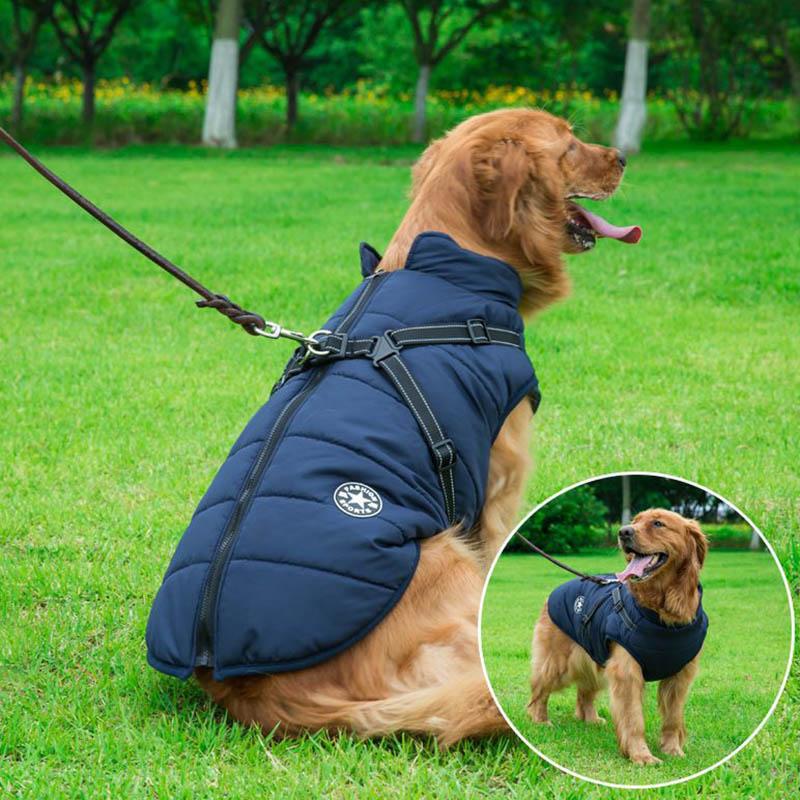 Manteau pour chien multifonctionnel chaud et imperméable