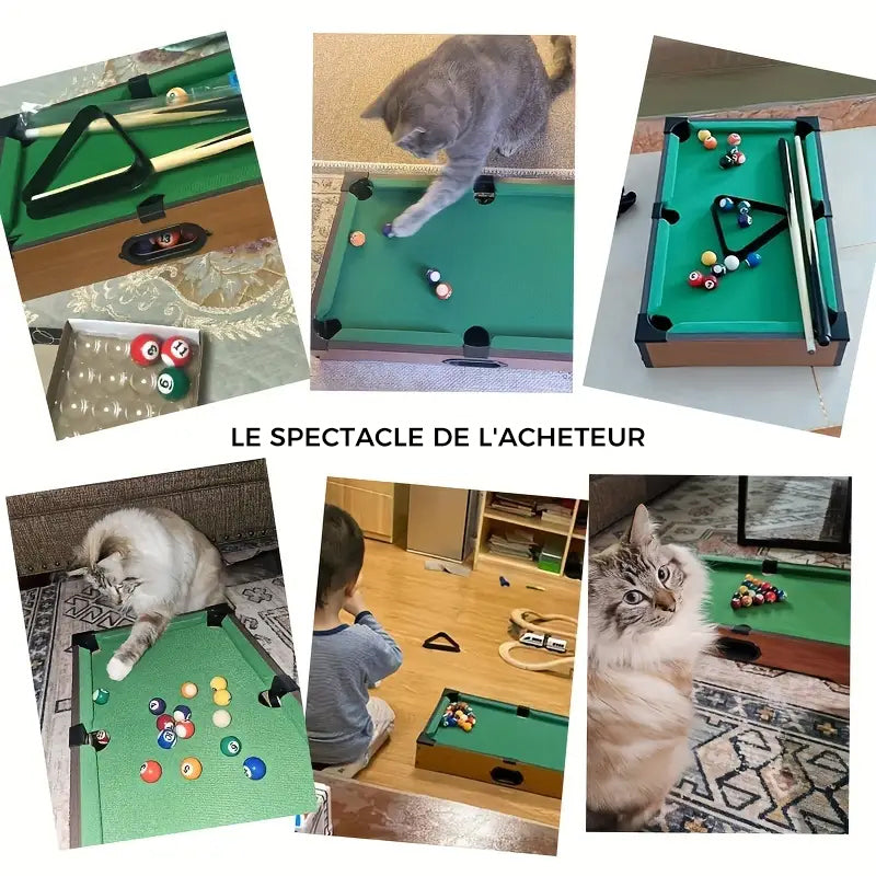 Mini Table de Billard Jouet pour Chat