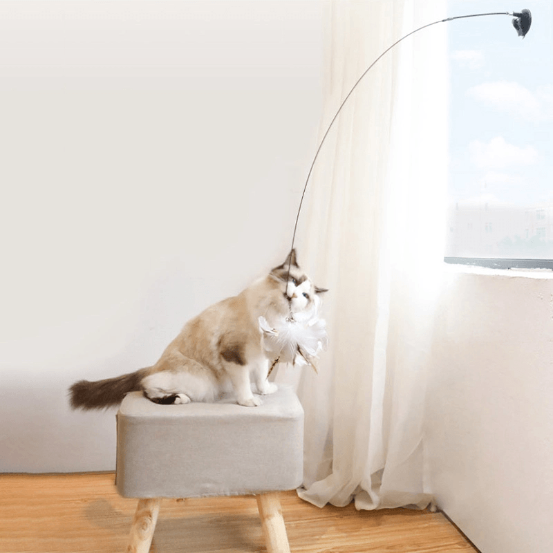 Chaton Jouant Teaser Baguette Jouet