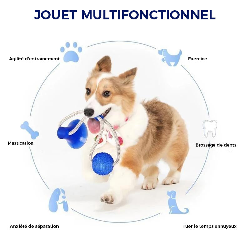 Jouet multifonctionnel de morsure de molaire pour animaux de compagnie