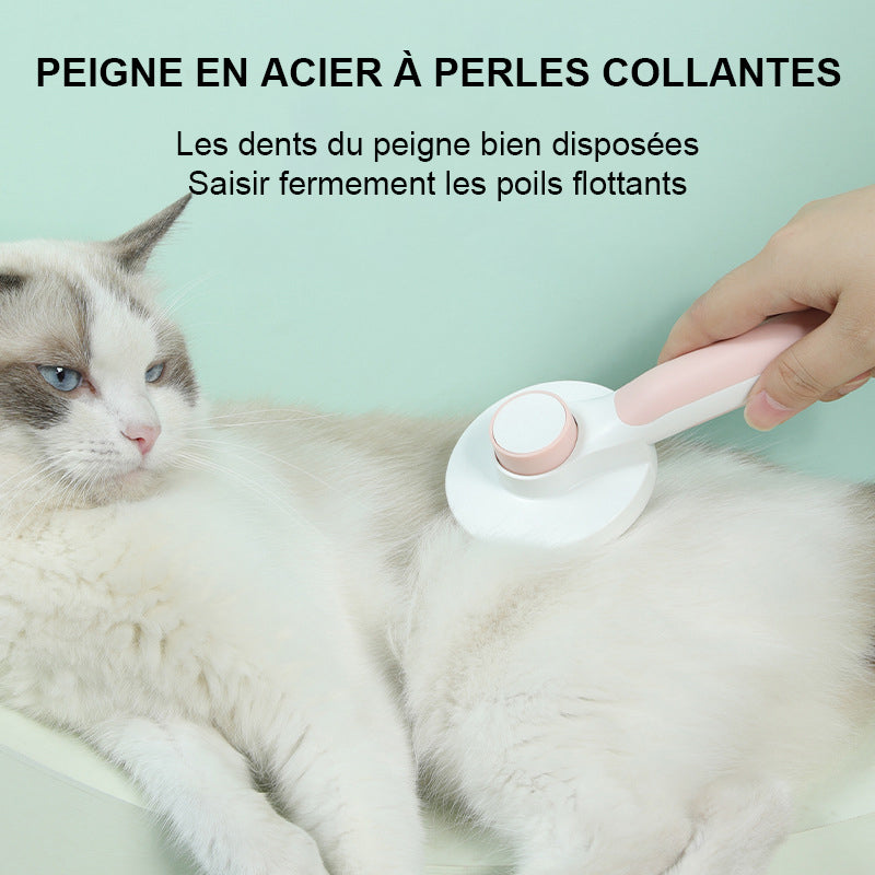 Brosse automatique pour animaux de compagnie