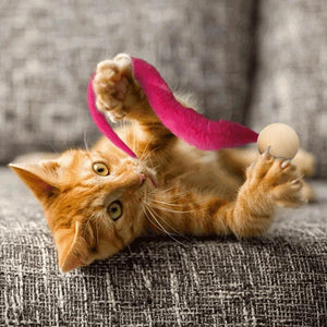 Jouet pour chat bancal avec grelots