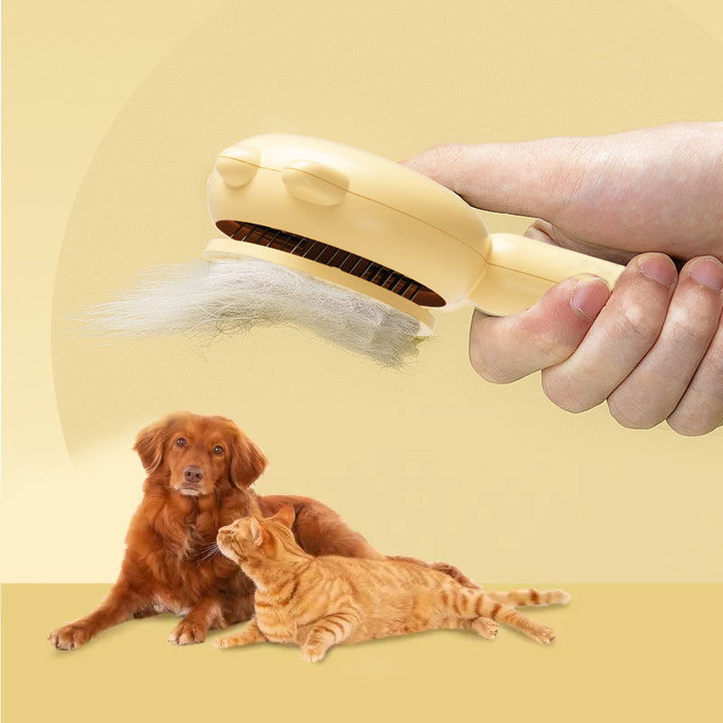 Brosse nettoyante pour poils d'animaux