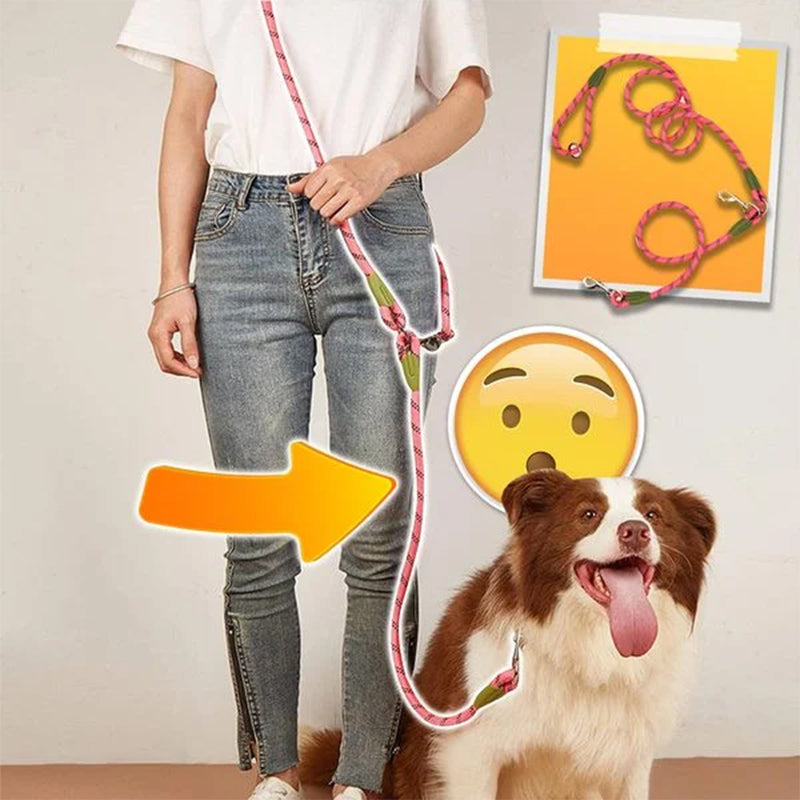 Laisses mains libres pour chien