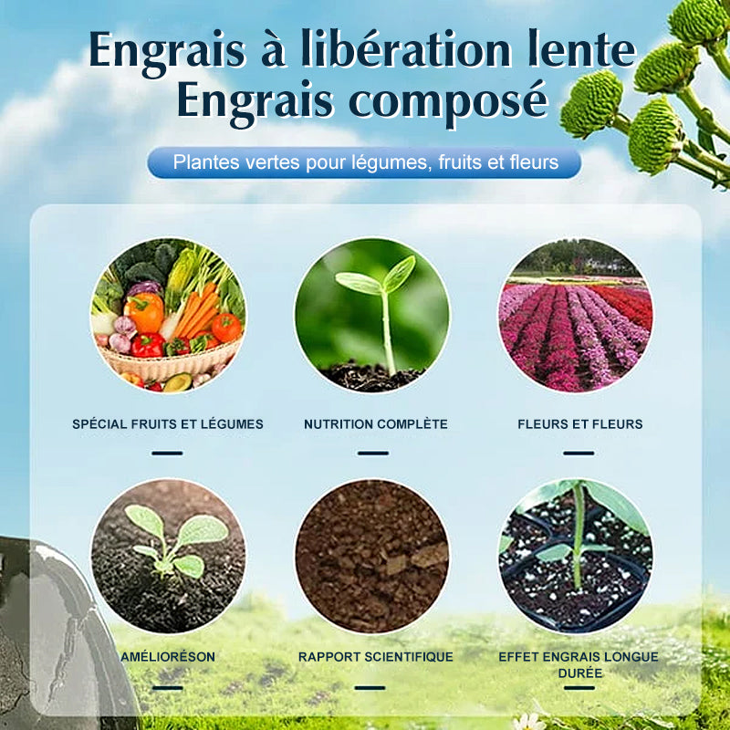 Engrais de jardin universel à libération lente sous forme de comprimés